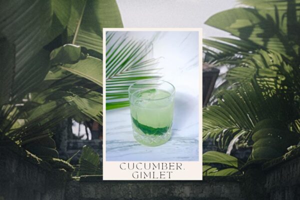 Tikibus cocktail