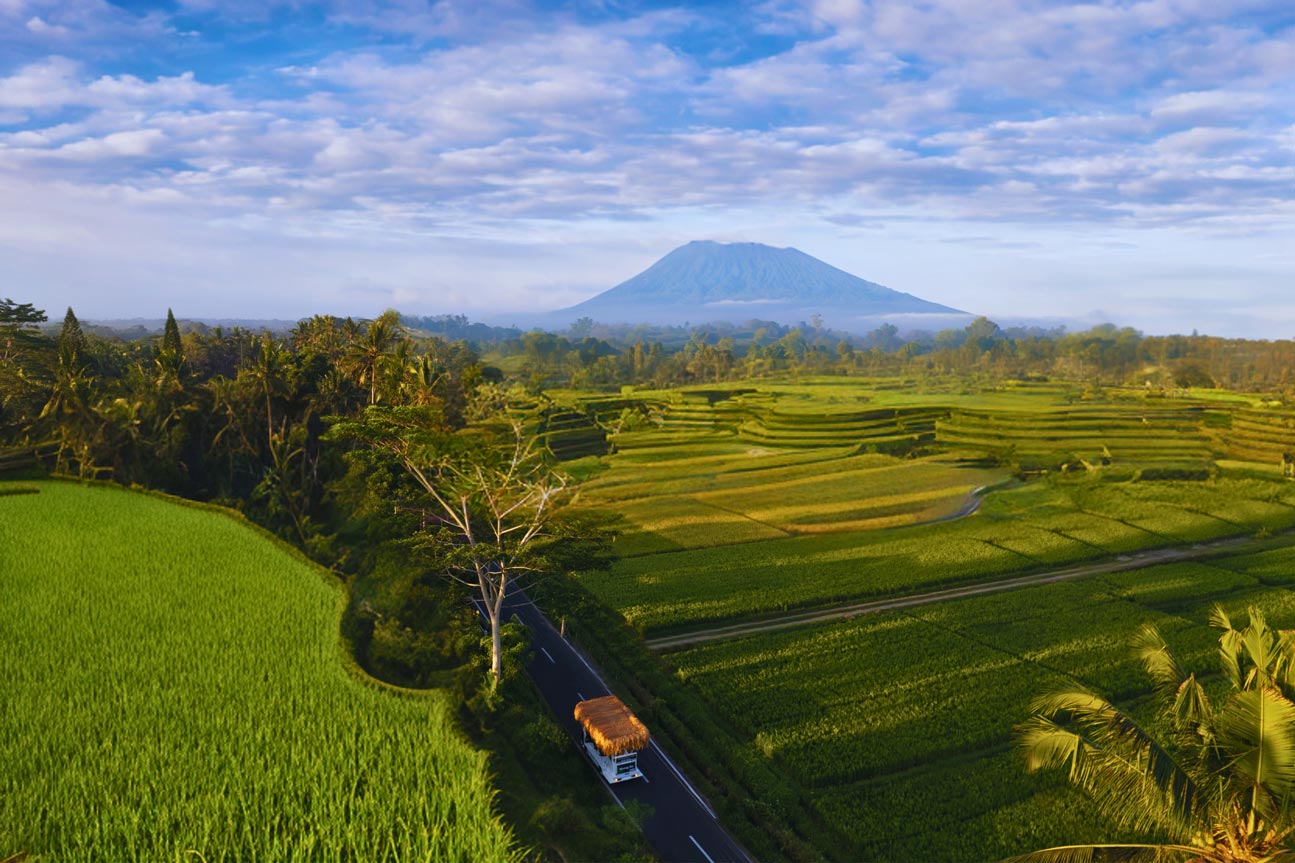 The Tikibus mixology bar bus cruising through the Bali jungle
